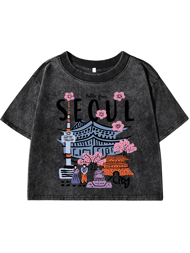 Street Fashion Of Seoul - Seoul Beautiful Scenery Printing Female Washed