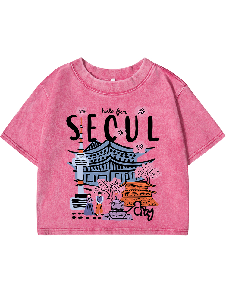 Seoul Beautiful Scenery Printi - Street Fashion Of Seoul avaliação e preço