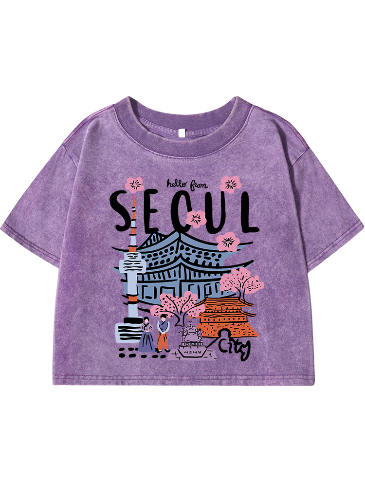 Seoul Beautiful Scenery Printi - Street Fashion Of Seoul avaliação e preço